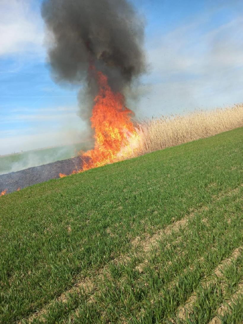 Incendiu de vegetație în Bacău. Un bărbat a murit