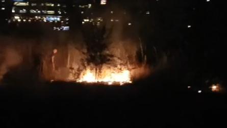 Incendiu uriaș în parcul IOR din București 18850385
