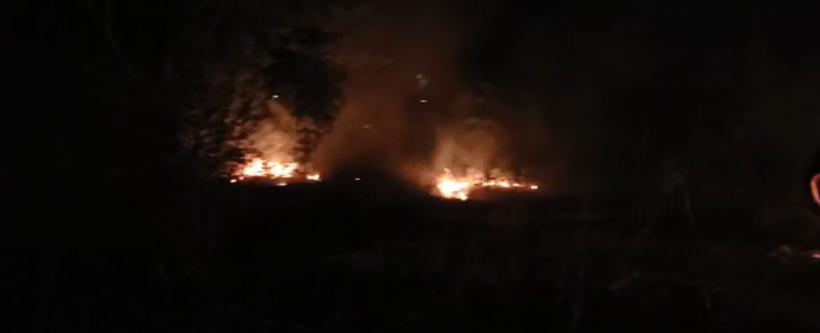 Incendiu uriaș în parcul IOR din București 18850386