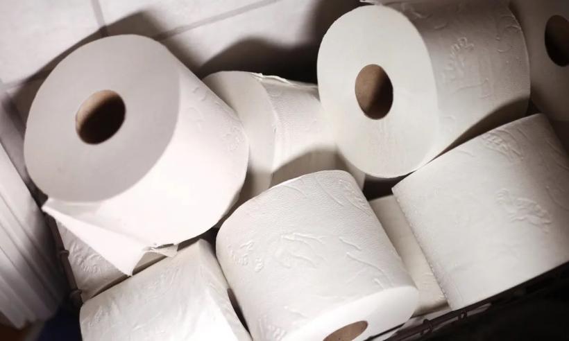 Secretul murdar al Parlamentului: consumă 5.400 km de hârtie igienică pe an