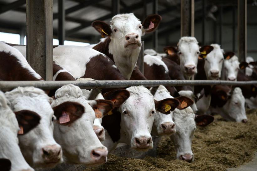 Prețurile produselor agricole rămân ridicate, consumul continuă să scadă 18850348