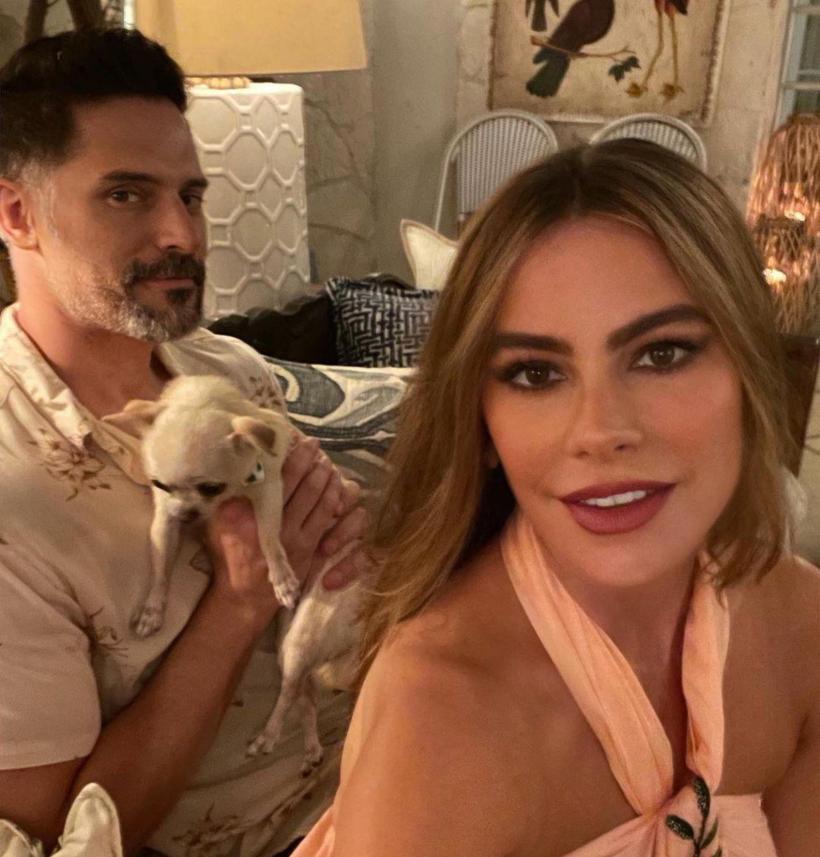 Actorii Sofia Vergara și Joe Manganiello divorțează după șapte ani de căsnicie 18850394