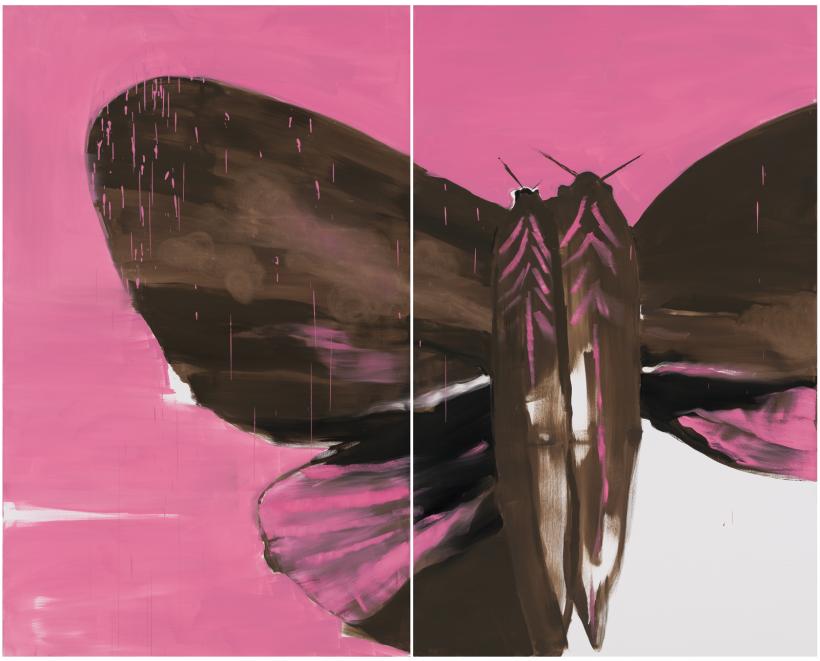 LOOK INSIDE / PARCUL ARTELOR 2023 18850731