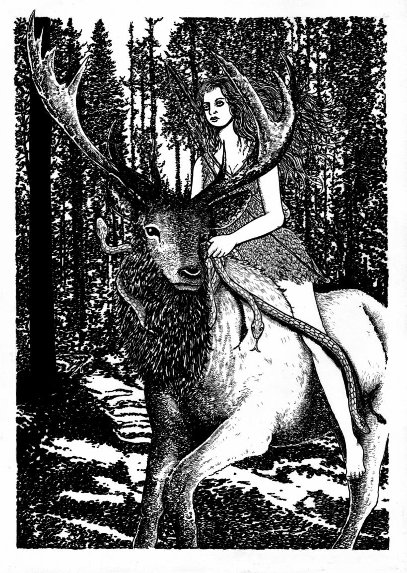 Ce înseamnă când îți urează muntenii să te strângă iacacui? 18850657