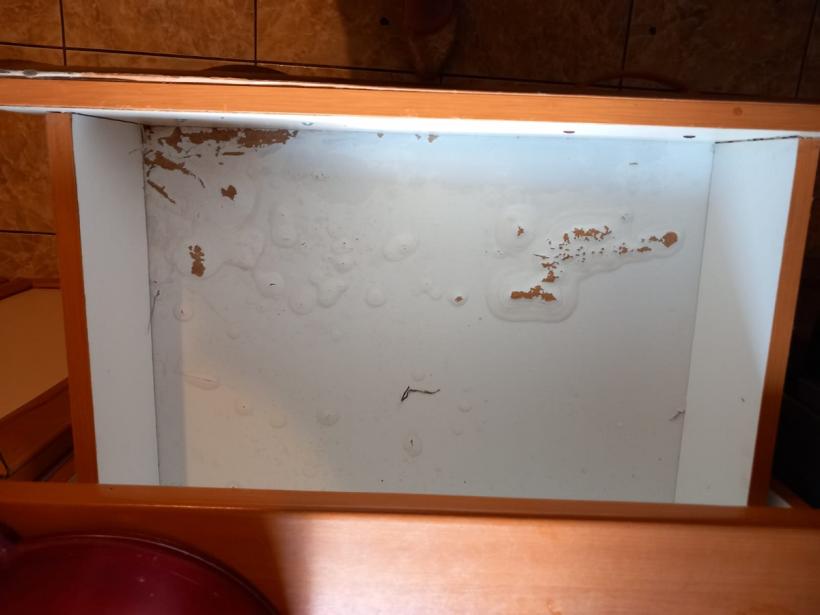 Probleme mari în centrele sociale din București!  18850941