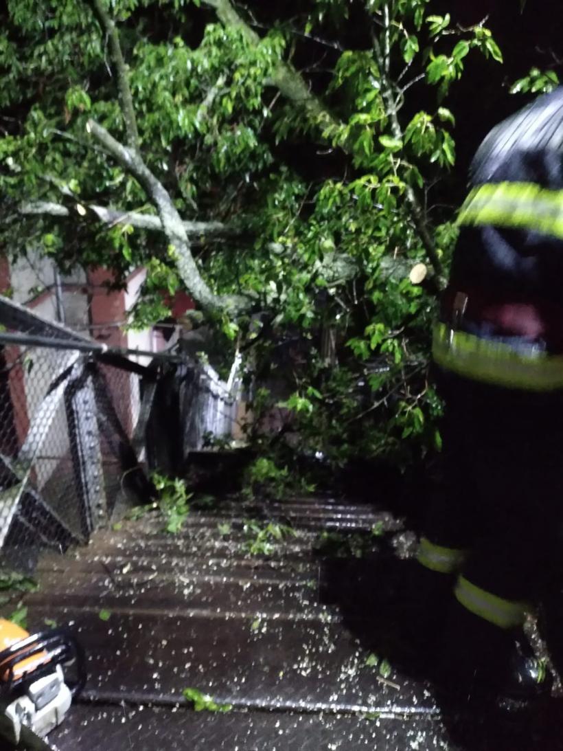 Codul Roșu a făcut prăpăd în România! Doi oameni prinși sub acoperiș, alți doi, salvați din Dunăre.  18851088