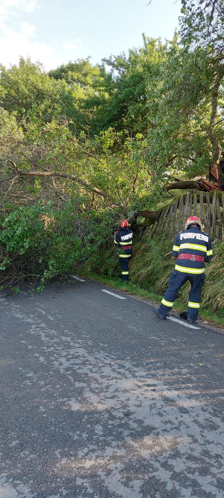 Codul Roșu a făcut prăpăd în România! Doi oameni prinși sub acoperiș, alți doi, salvați din Dunăre.  18851090
