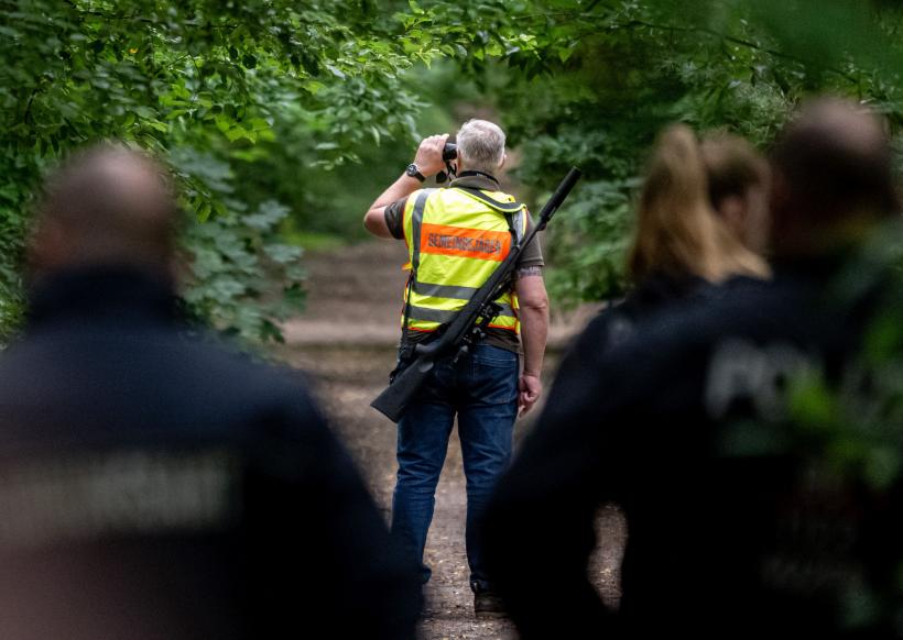 Cascadorii râsului: Leoaica pe care o căutau 120 de polițiști prin Berlin este de fapt un mistreț 18851059