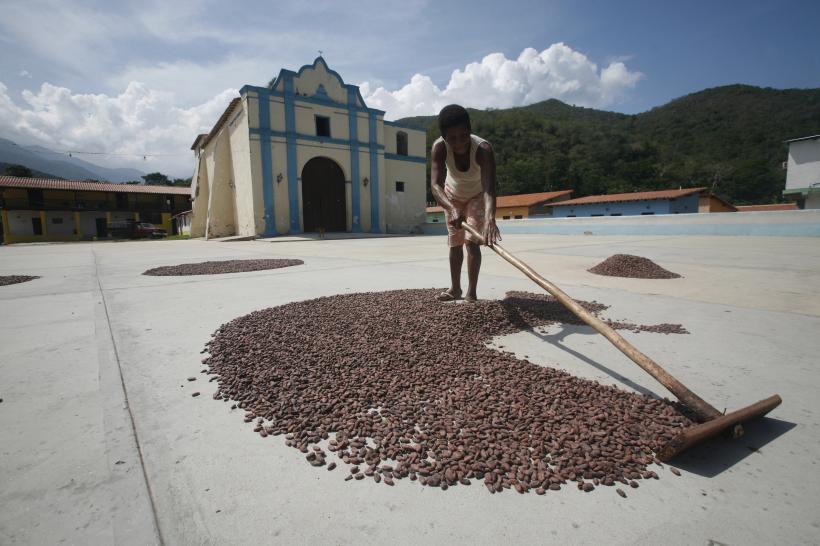 Beneficiile boabelor de cacao asupra sănătății. La ce trebuie să fii atent 18851562