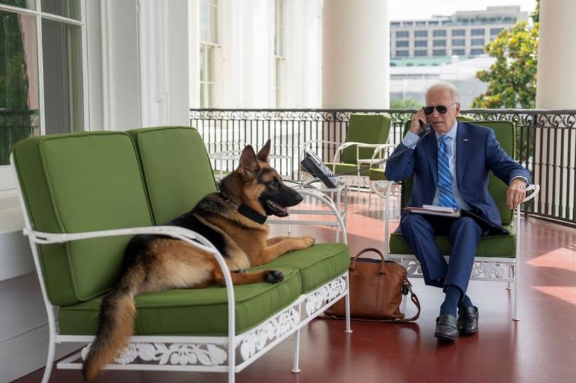 Unul dintre câinii lui Biden a provocat mai multe incidente la Casa Albă