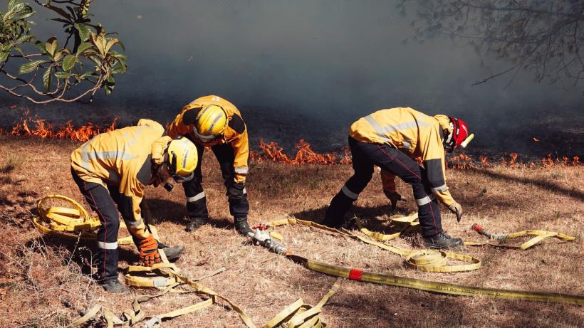 Incendiu violent în apropiere de aeroportul din Nisa 18851622