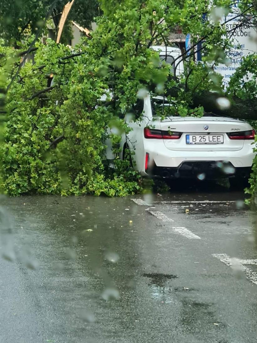 Oradea, devastată de furtună: Acoperișul Bibliotecii Universității a fost distrus, copacii au fost smulși din rădăcini, iar 16 mașini parcate în Aeroport au fost făcute praf 18851618