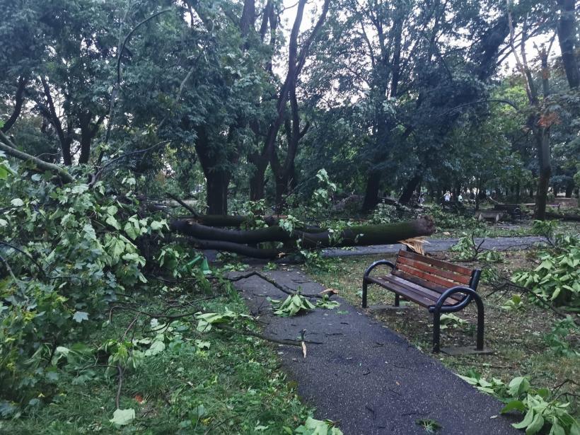 Oradea, devastată de furtună: Acoperișul Bibliotecii Universității a fost distrus, copacii au fost smulși din rădăcini, iar 16 mașini parcate în Aeroport au fost făcute praf 18851619