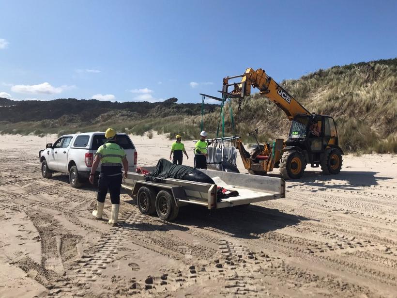 100 de balene au eșuat pe o plajă din Australia. Zeci dintre acestea au murit 18851676