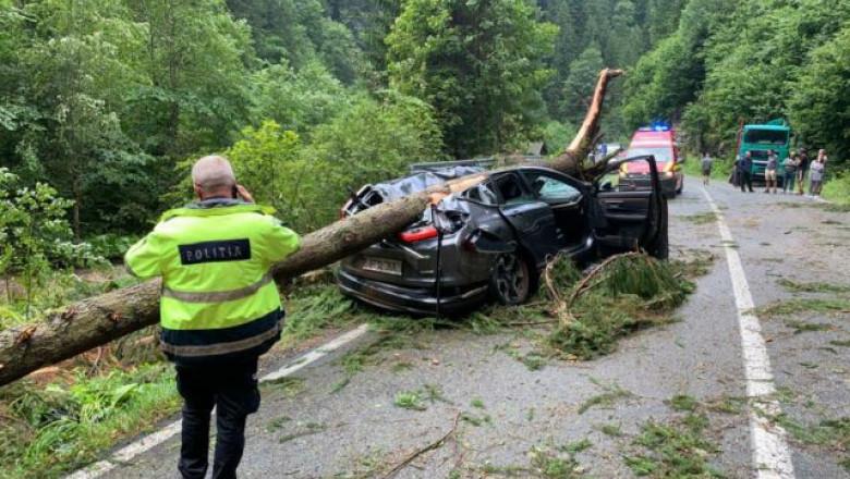 Un copac a strivit o mașină aflată în mers pe Transalpina. O femeie a murit, iar un bărbat se află în stare gravă. DN 67C, BLOCAT