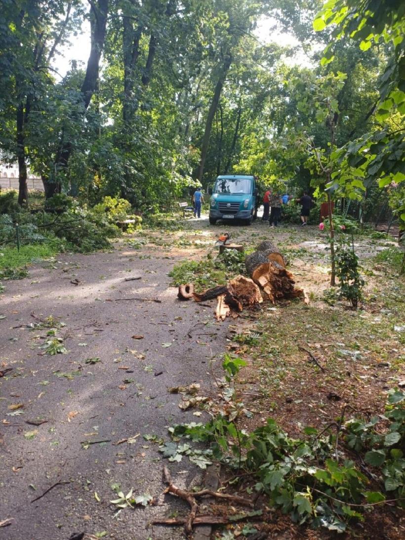 Grădina Zoologică din Oradea, închisă astăzi din cauza furtunii 18851665