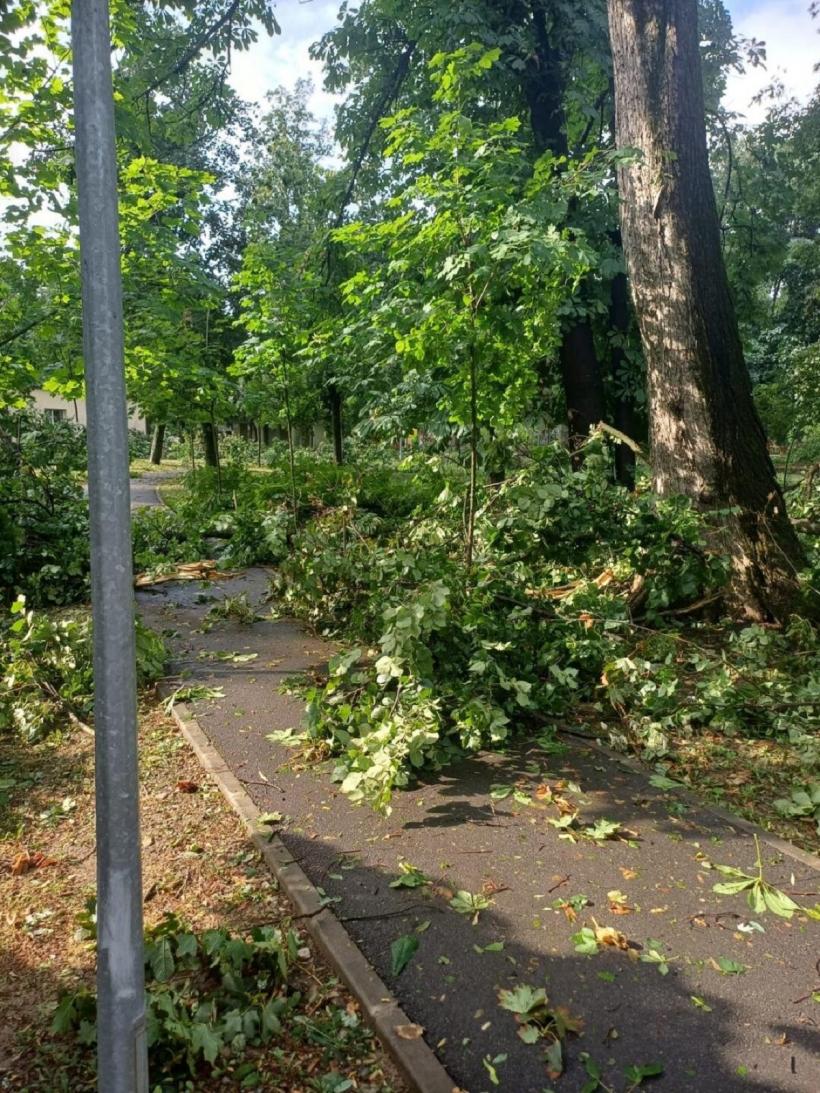 Grădina Zoologică din Oradea, închisă astăzi din cauza furtunii 18851666