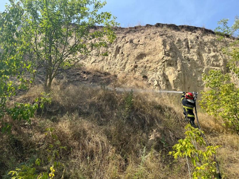 Incendiu de vegetație uscată, în Tulcea 18851744