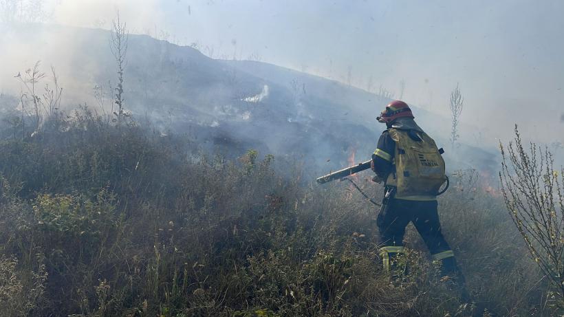 Incendiu de vegetație uscată, în Tulcea 18851745