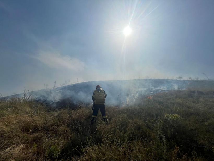 Incendiu de vegetație uscată, în Tulcea 18851746