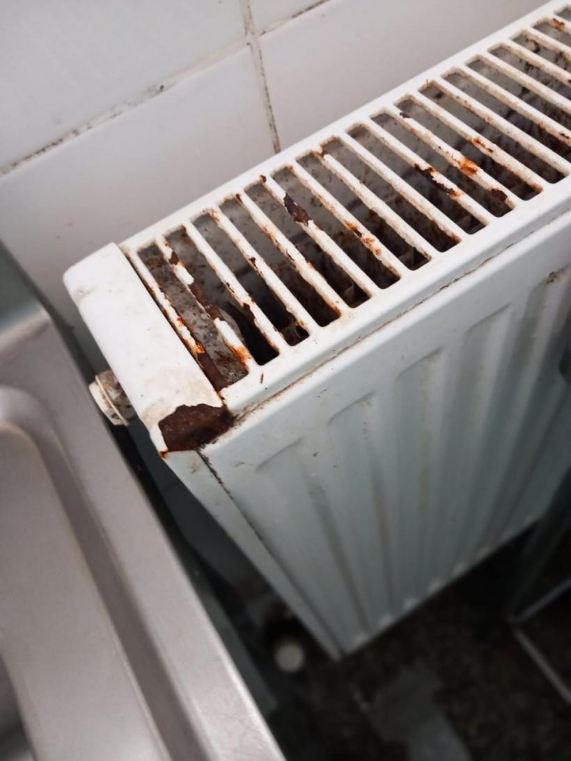 Rugină, mizerie, fructe stricate la o firmă de catering din Constanța care asigura mâncarea pacienților din spitale 18851685