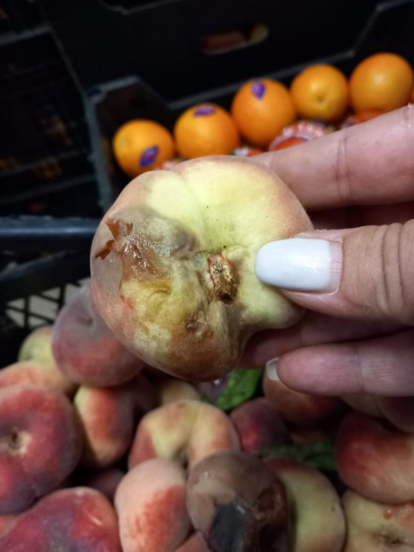 Rugină, mizerie, fructe stricate la o firmă de catering din Constanța care asigura mâncarea pacienților din spitale 18851691