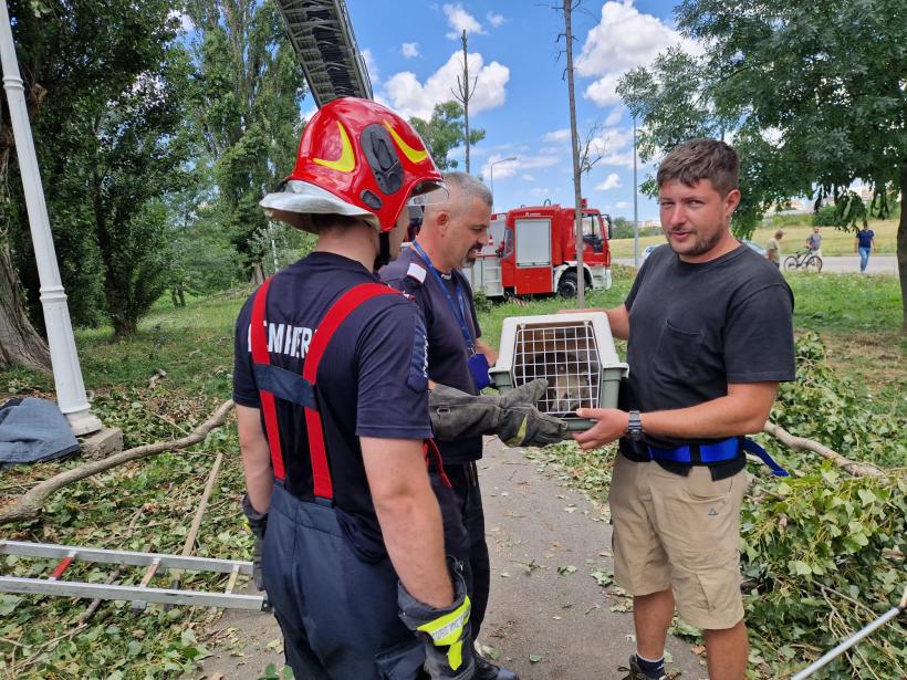 Povestea ursulețului trompetar care a fugit de la Zoo Oradea în timpul furtunii 18851902