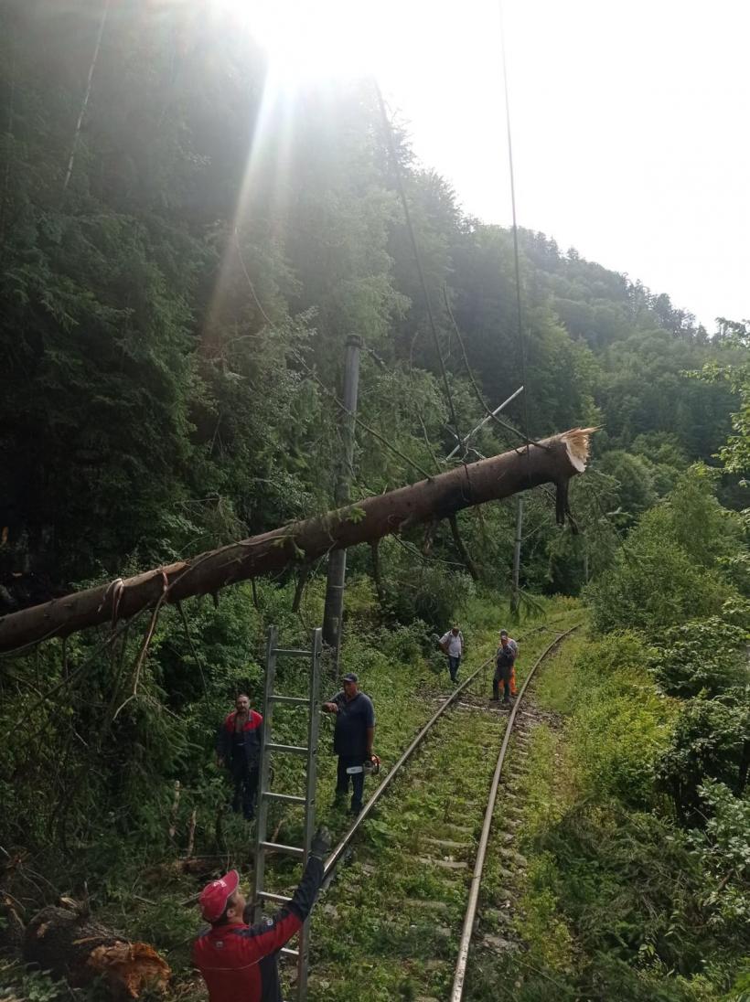 Trenurile sigure merg pe câmp 18851771