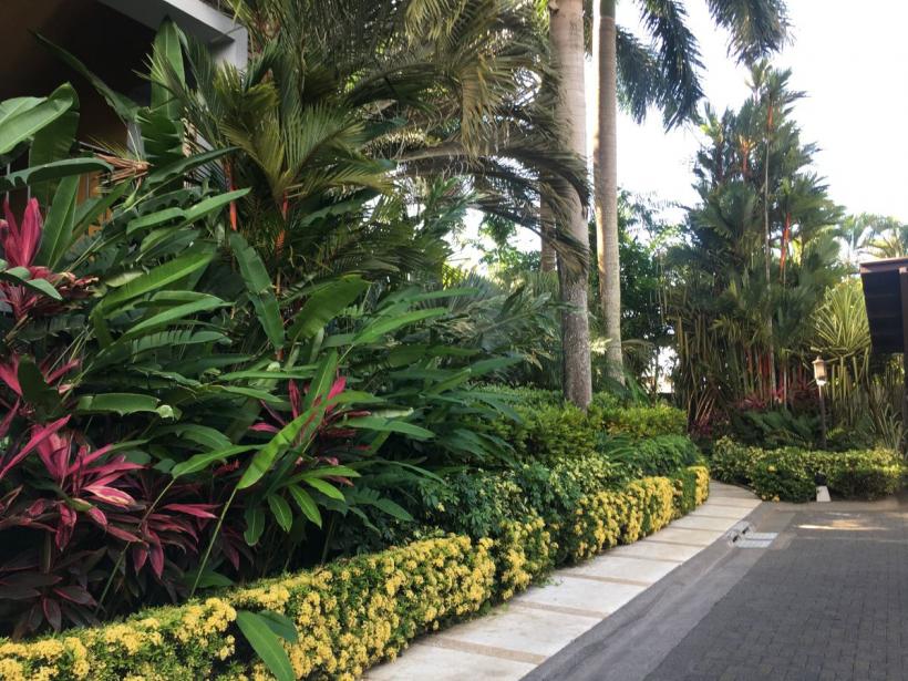 Înapoi în Costa Rica 18851859