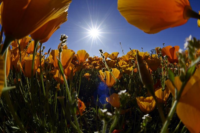 Peste 200 de mexicani, uciși de caniculă 18851993