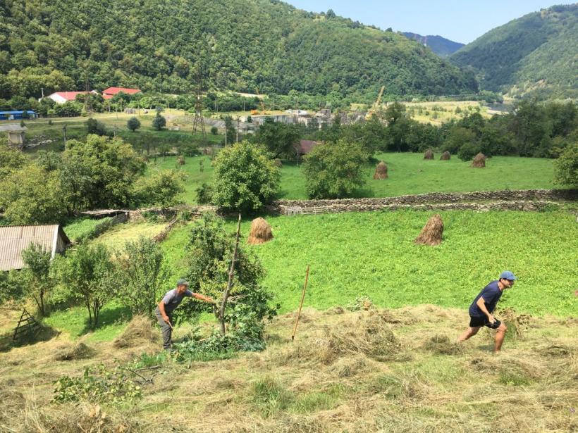 Vedere dintr-un sat legendar: Câinenii Mici 18851881