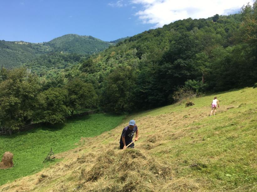 Vedere dintr-un sat legendar: Câinenii Mici 18851883