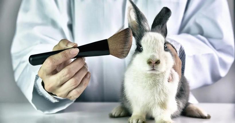 Iubitorii de animale au pus ochii pe industria cosmetică