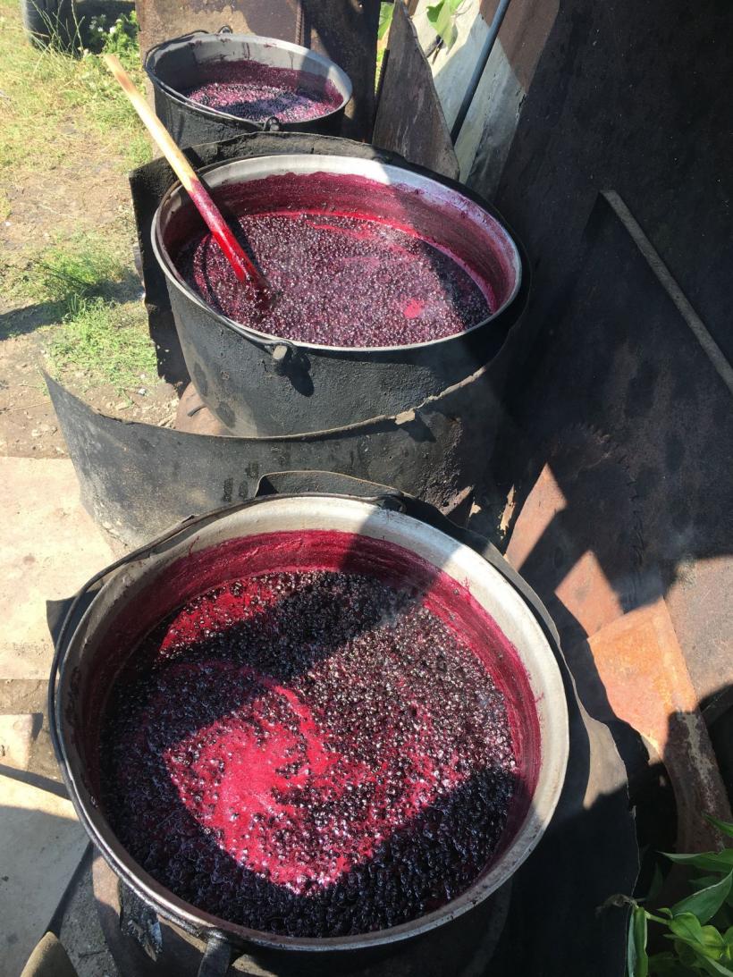 Goana după afine pe Valea Urii 18852615