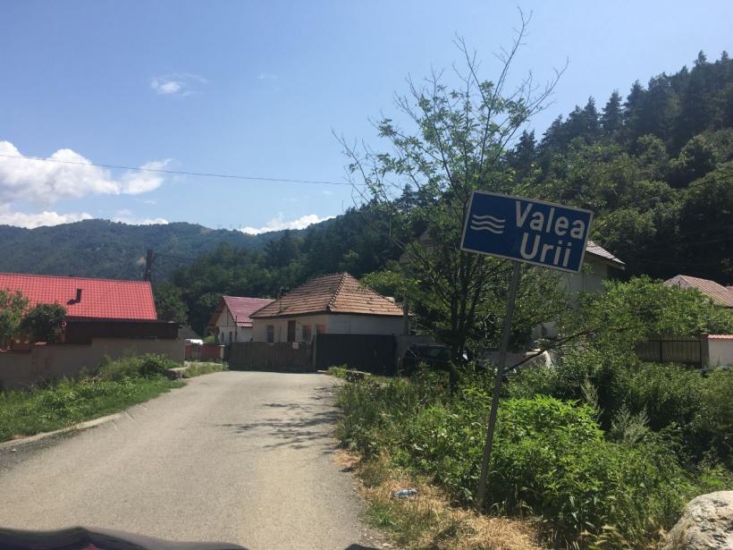 Goana după afine pe Valea Urii 18852617