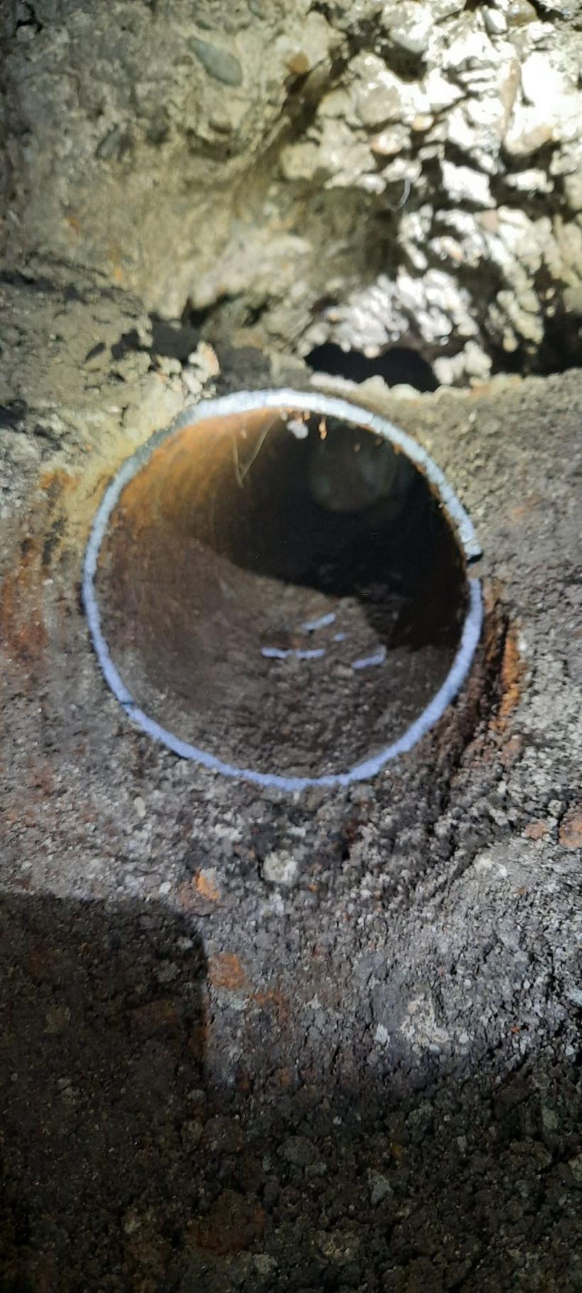 Pui de cățel salvat de pompieri după ce s-a blocat într-o țeavă din demisolul unei policlinici 18853049