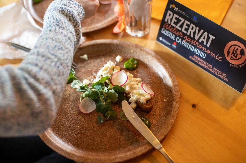 Evenimentele lunii august la Timișoara 2023 18852999