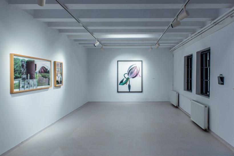 Evenimentele lunii august la Timișoara 2023 18853004