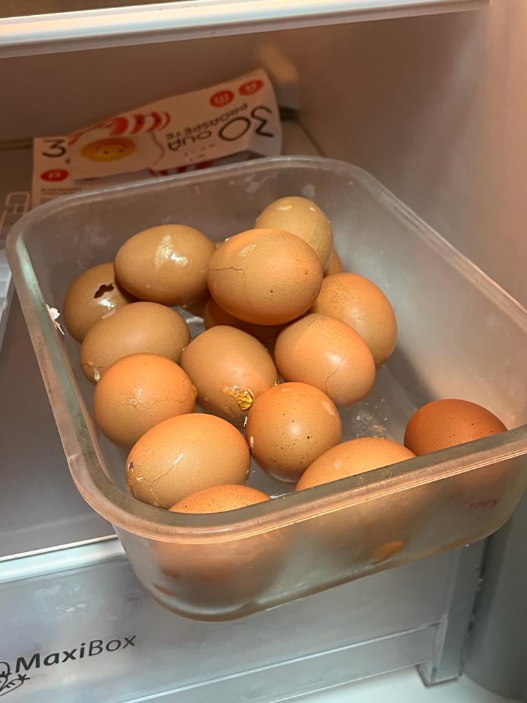 Un alt azil din București a fost închis din cauza mizeriei și a mâncării cu muște 18852963