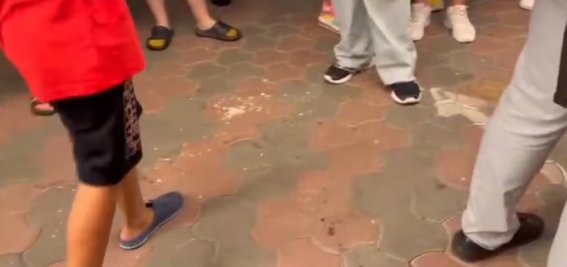 Scandal monstru în Satul de Vacanţă din Mamaia. Patronii şi angajaţii au aruncat cu scaune, carne și clătite 18853241