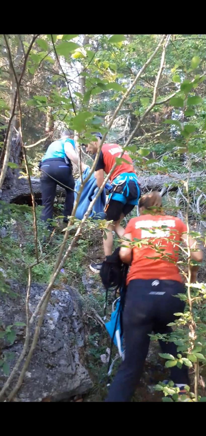 Un pui de caprioară a fost salvat după ce a rămas blocat în Grota Urşilor din Borsec 18853259