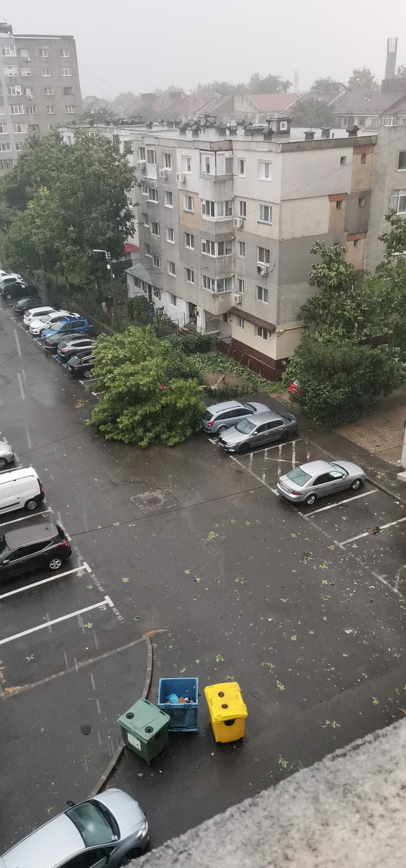 Urgie la Brăila! Furtuna a smuls acoperișuri, iar 10 vaci au fost electrocutate 18853444