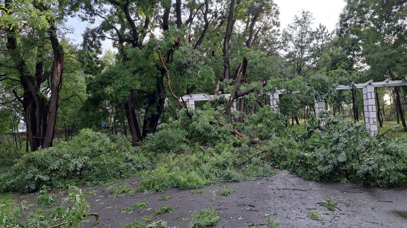 Urgie la Brăila! Furtuna a smuls acoperișuri, iar 10 vaci au fost electrocutate 18853445