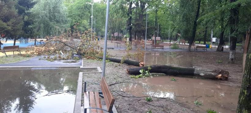 Urgie la Brăila! Furtuna a smuls acoperișuri, iar 10 vaci au fost electrocutate 18853449