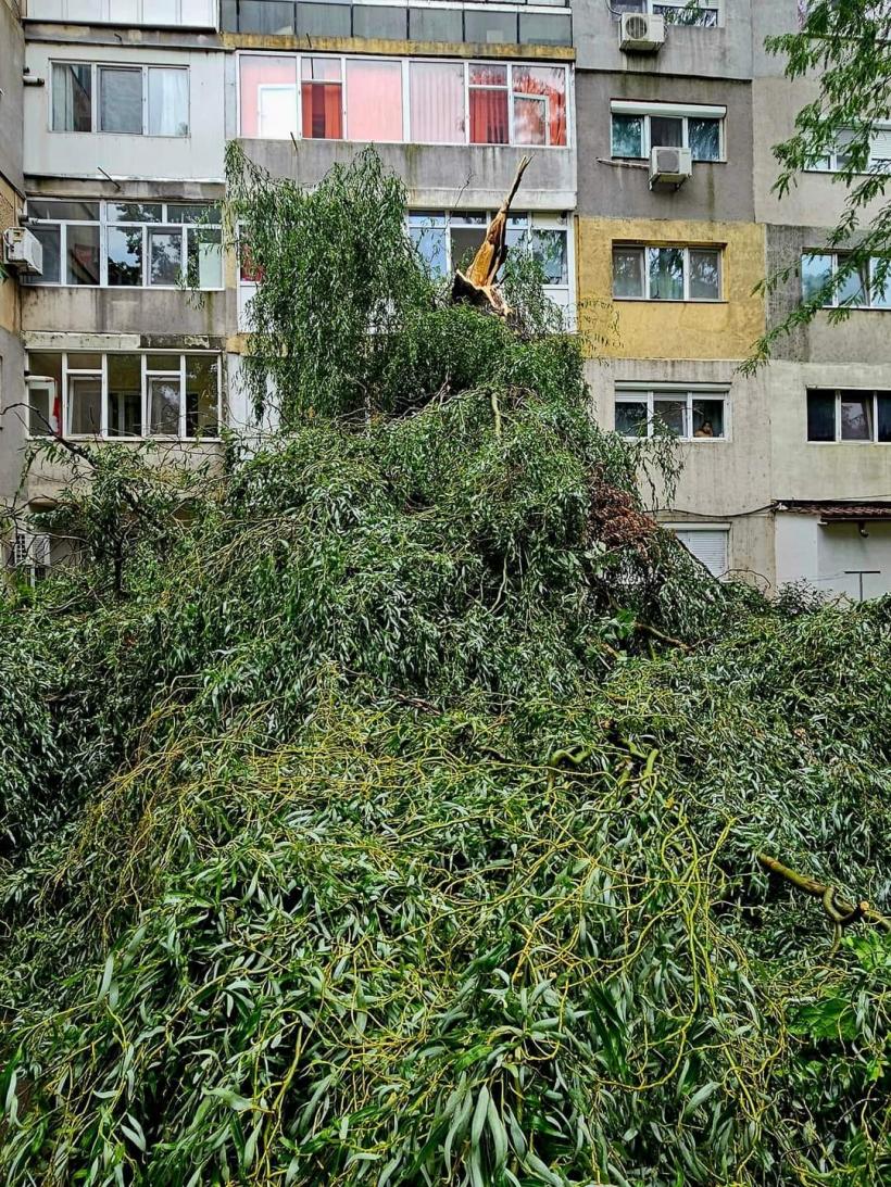 Urgie la Brăila! Furtuna a smuls acoperișuri, iar 10 vaci au fost electrocutate 18853451