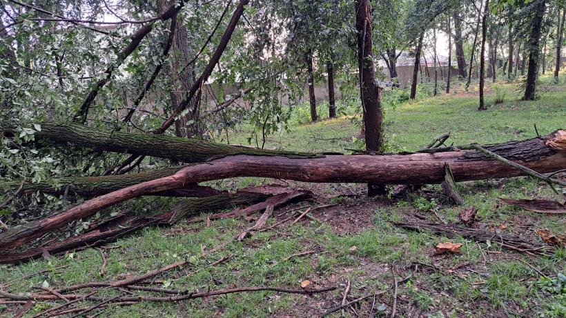 Urgie la Brăila! Furtuna a smuls acoperișuri, iar 10 vaci au fost electrocutate 18853452