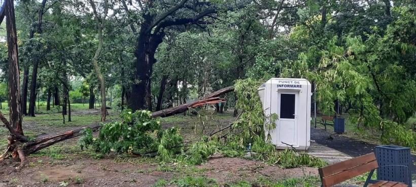 Urgie la Brăila! Furtuna a smuls acoperișuri, iar 10 vaci au fost electrocutate 18853453