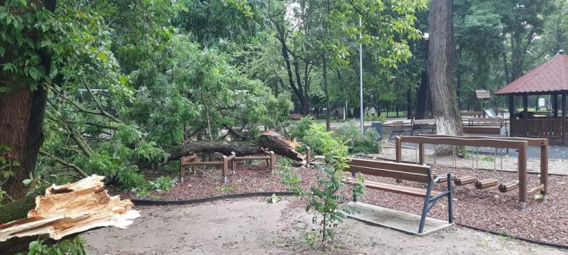 Urgie la Brăila! Furtuna a smuls acoperișuri, iar 10 vaci au fost electrocutate 18853454