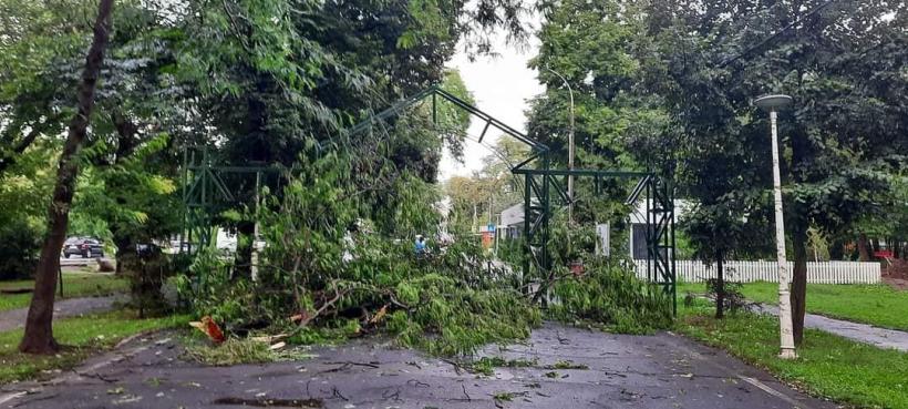 Urgie la Brăila! Furtuna a smuls acoperișuri, iar 10 vaci au fost electrocutate 18853455