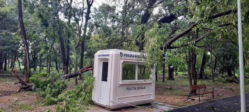 Urgie la Brăila! Furtuna a smuls acoperișuri, iar 10 vaci au fost electrocutate 18853456